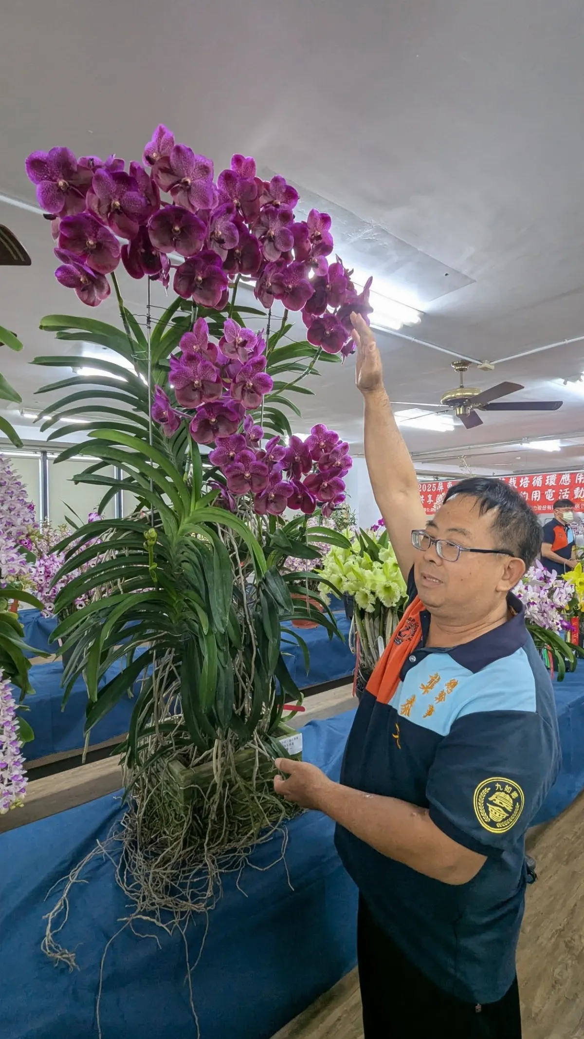 台灣蘭花節屏東登場 高160公分開萬代蘭奪冠